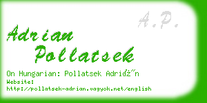 adrian pollatsek business card